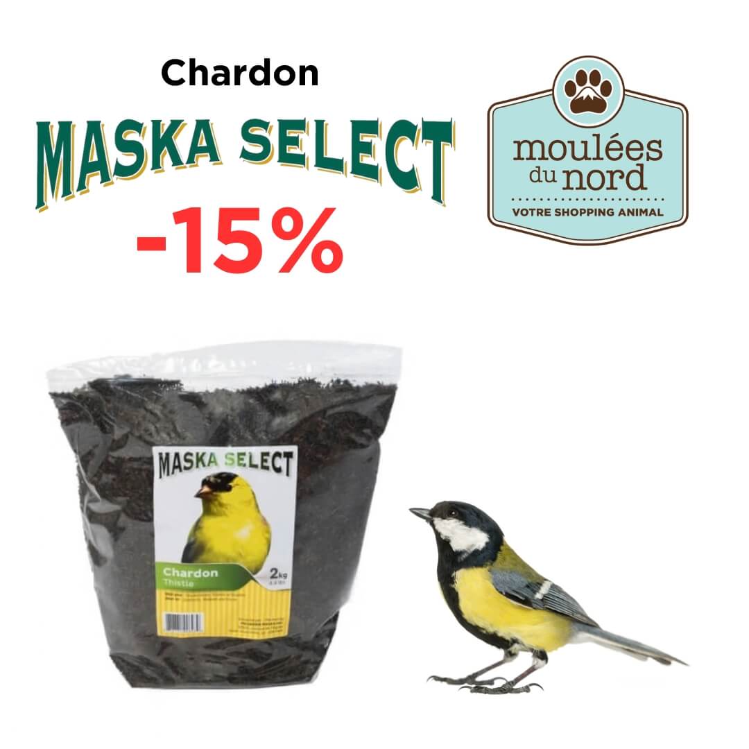 Escompte sur le chardon pour oiseaux sauvage en novembre chez Moulées du Nord