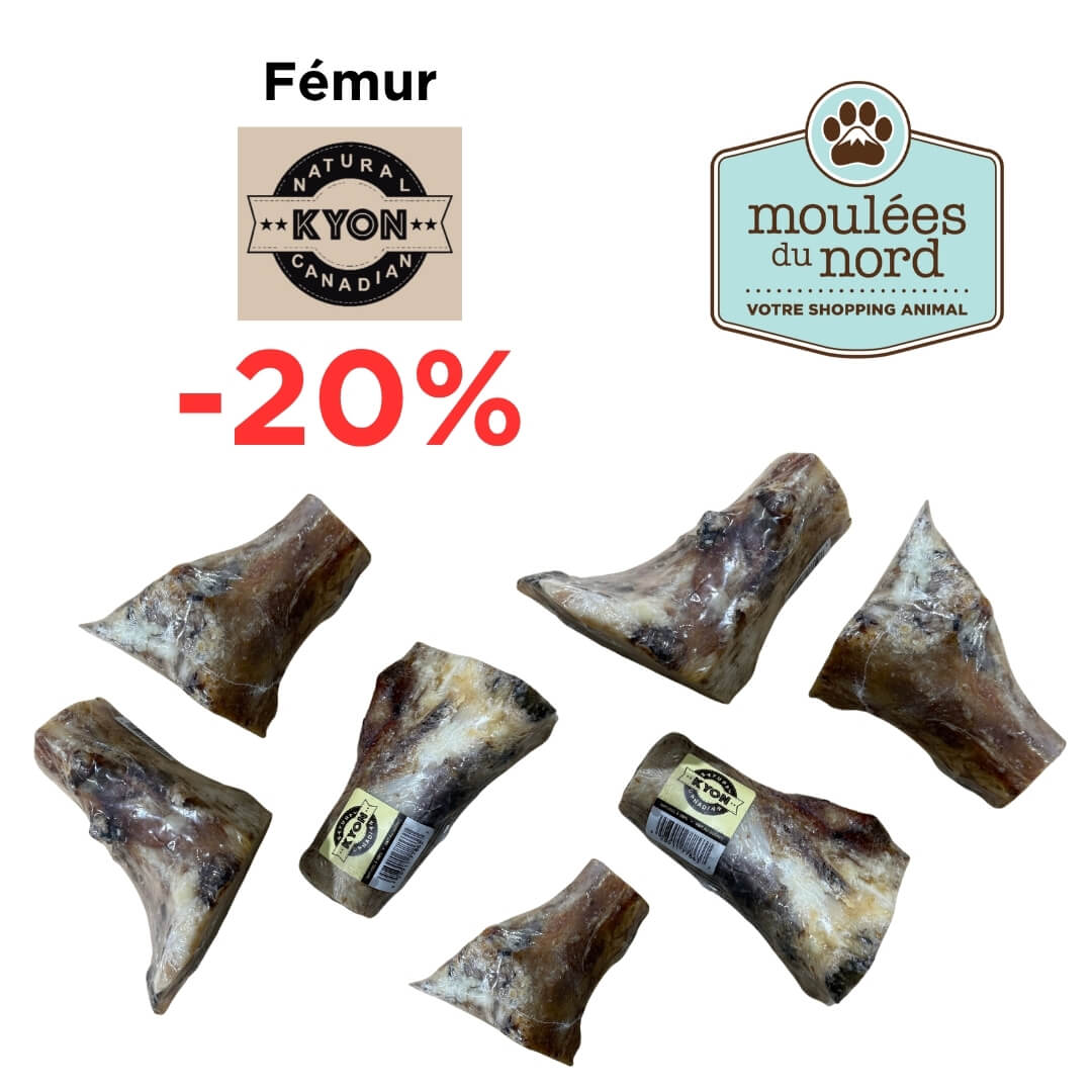 Os fémur Kyon à gruger pour chiens en rabais chez Moulées du Nord