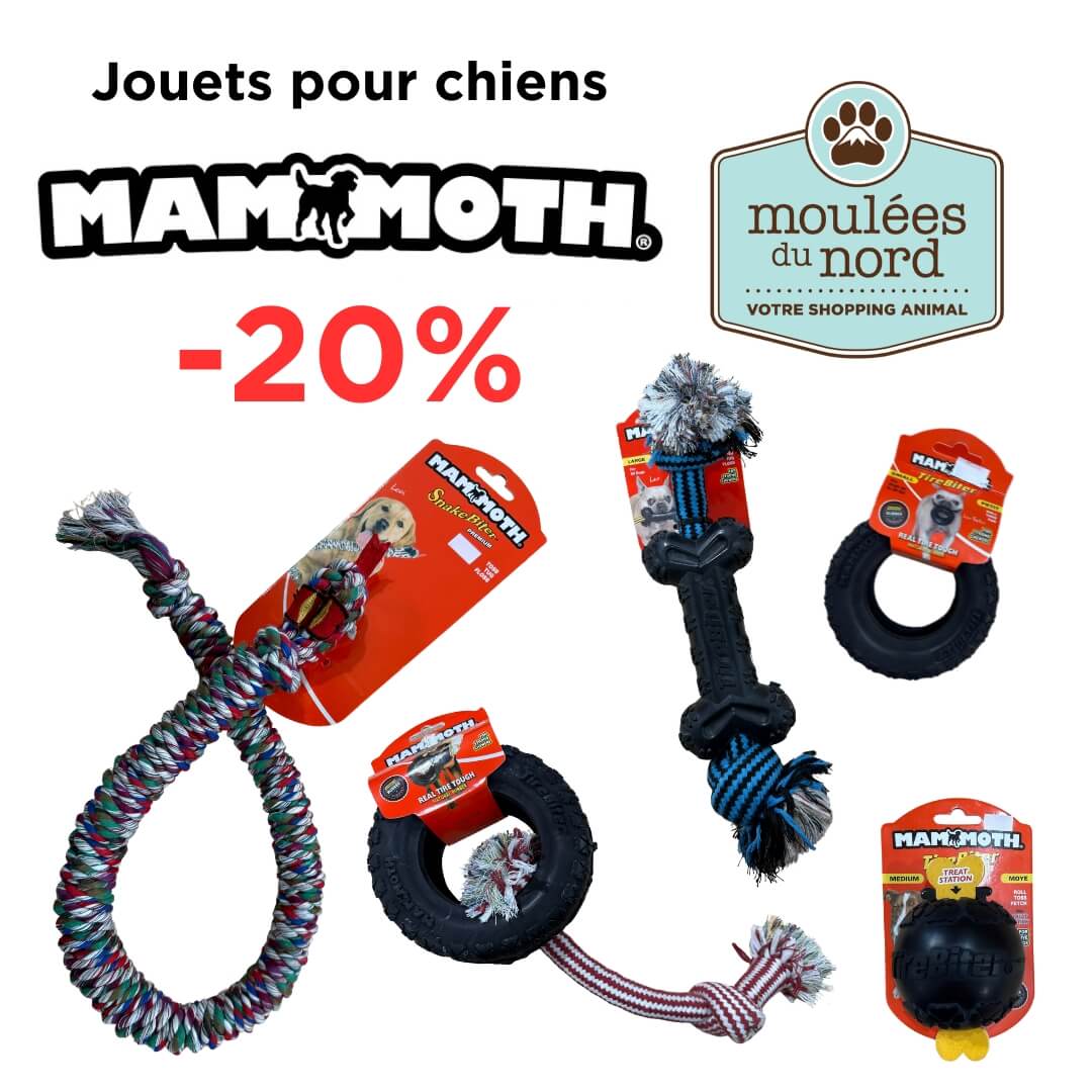 Jouets à tirer durables Mammoth pour chiens : en spécial ce mois de novembre